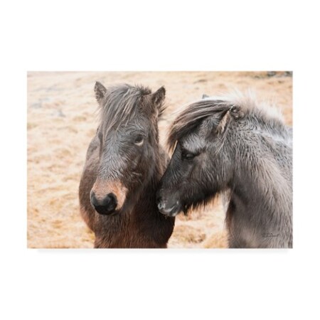 Trademark Fine Art Laura Marshall 'Bjarni and Imir II' Canvas Art, 22x32 WAP11698-C2232GG